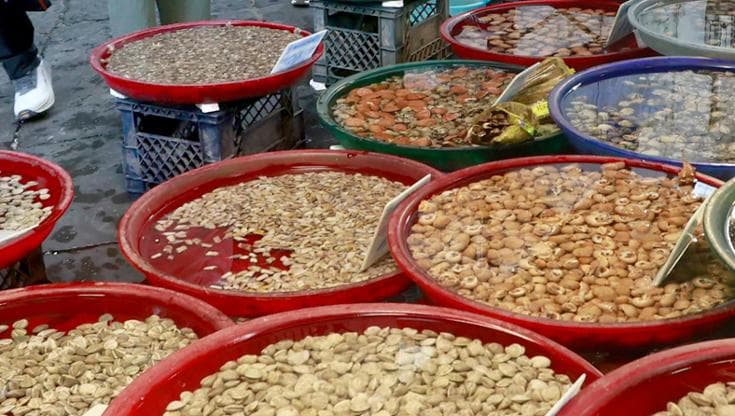 Napoli e il terrore dell'epatite A: è davvero colpa dei molluschi?