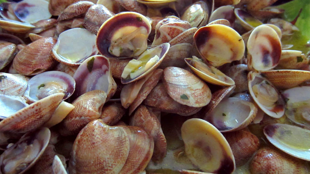 Epatite A a Napoli: il rischio è sotto i nostri occhi. Siamo pronti a reagire?