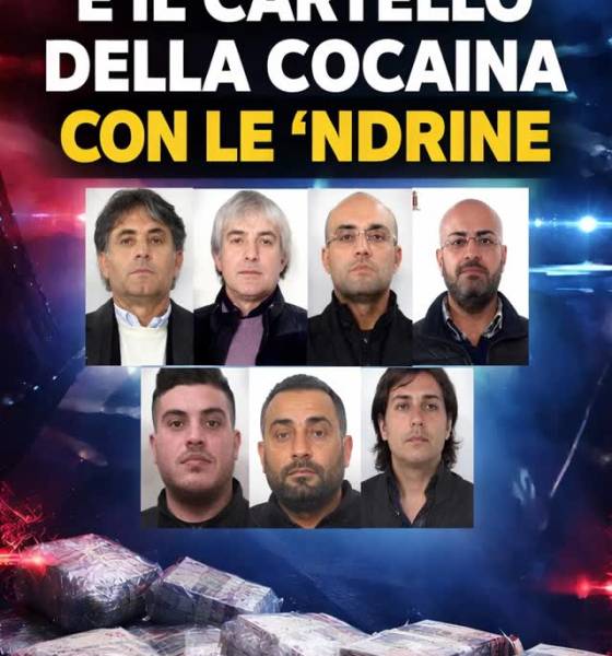 I Casalesi e il cartello della cocaina con le ‘ndrine