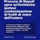 Epatite A, la Procura di Napoli apre un’inchiesta: ipotesi contaminazione di frutti di mare…