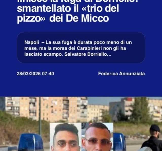 Camorra a Ponticelli, finisce la fuga di Borriello: smantellato il u00abtrio del pizzou00bb dei De…