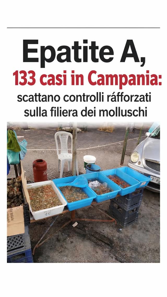 Epatite A, 133 casi in Campania: scattano controlli rafforzati sulla filiera dei molluschi