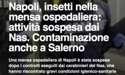 Napoli, insetti nella mensa ospedaliera: attivitu00e0 sospesa dai Nas. Contaminazione anche a SalernonnUna…