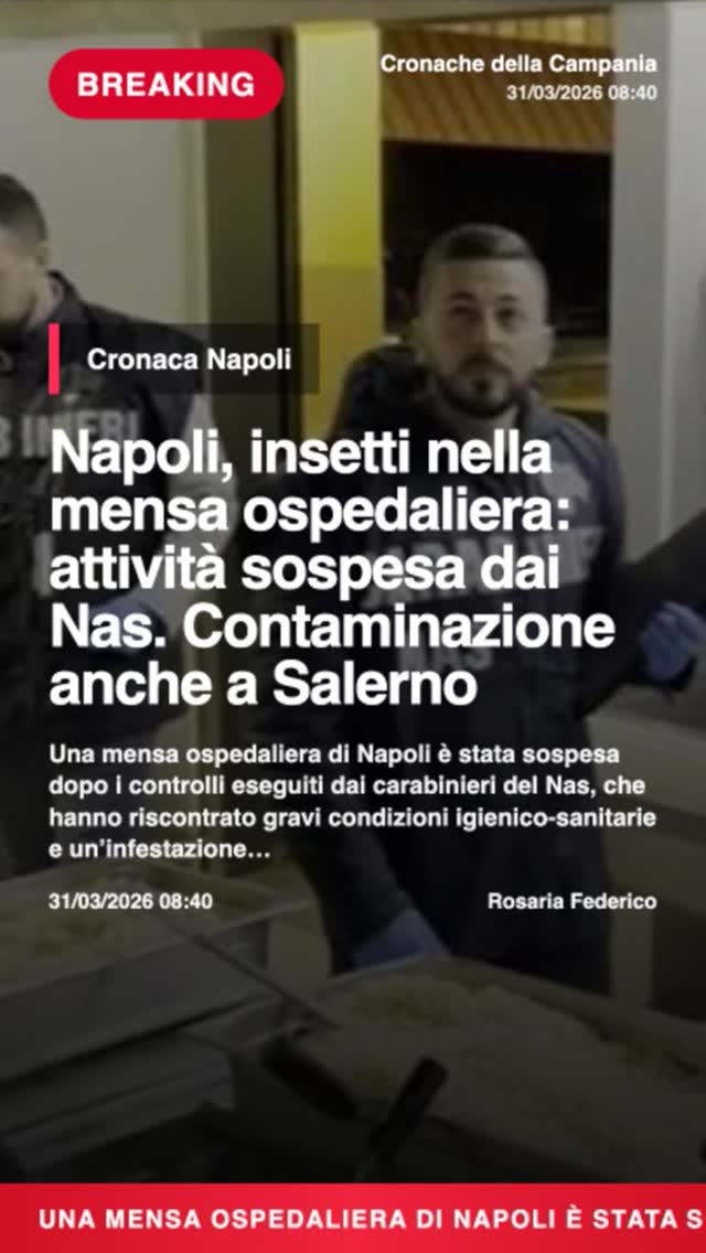 Napoli, insetti nella mensa ospedaliera: attivitu00e0 sospesa dai Nas. Contaminazione anche a SalernonnUna…