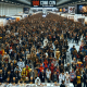 Napoli travolta dal Comicon: 183mila fan, record e 480 star mondiali
