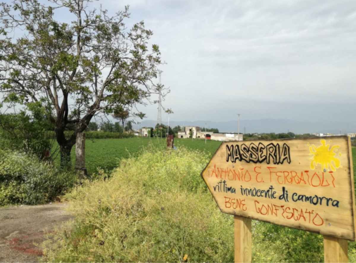 Afragola, la Masseria Ferraioli rinasce: un faro di speranza contro la camorra