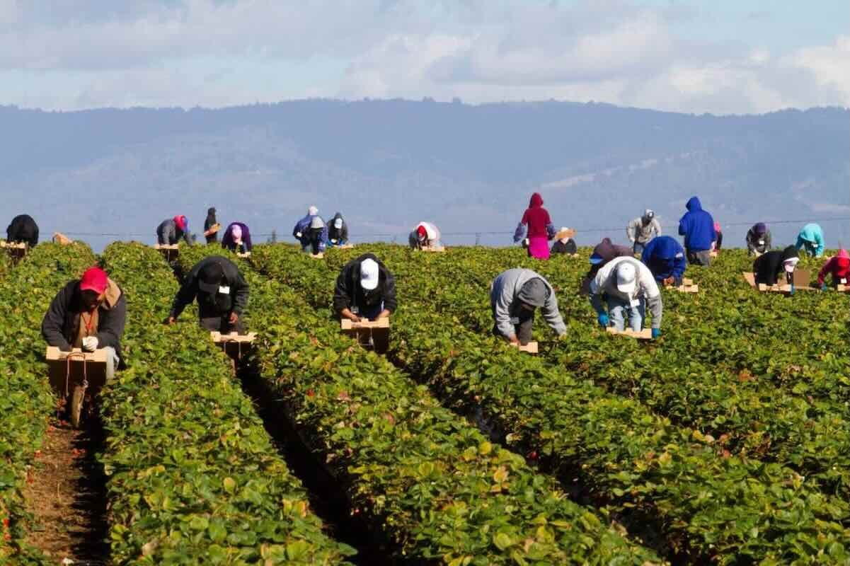 Campania: stop ai lavori all’aperto nelle ore roventi per tutelare i dipendenti