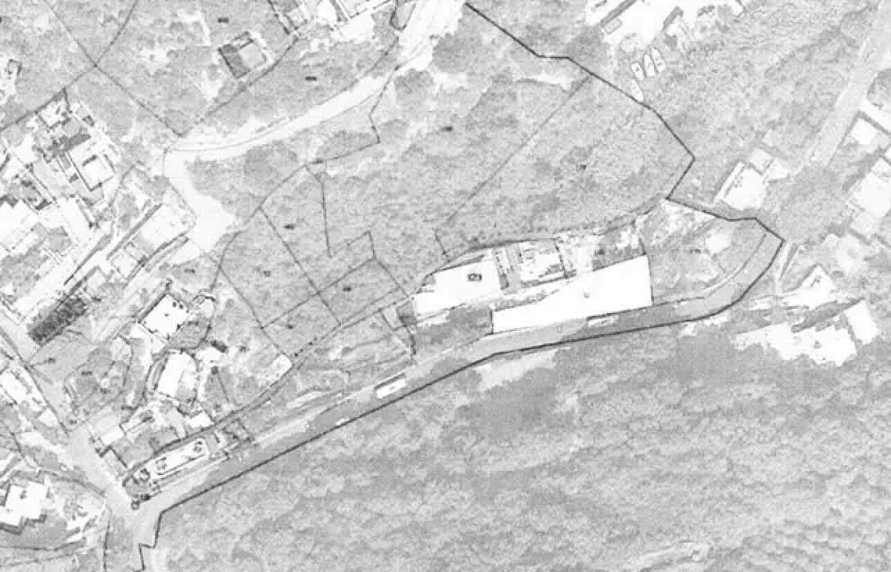 Ischia, scatta l’esposto in Procura: abbattuti alberi per un centro rifiuti su 12mila mq