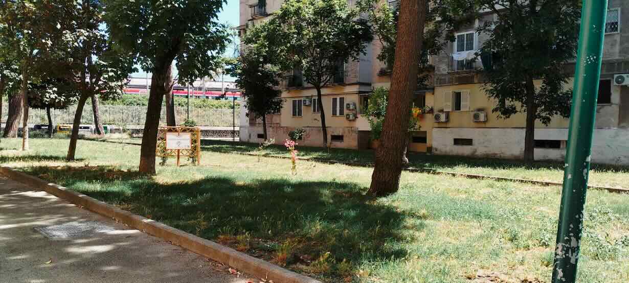 Rione Luzzatti, giovani si mobilitano per il rilancio del verde urbano: un segnale di speranza per Napoli