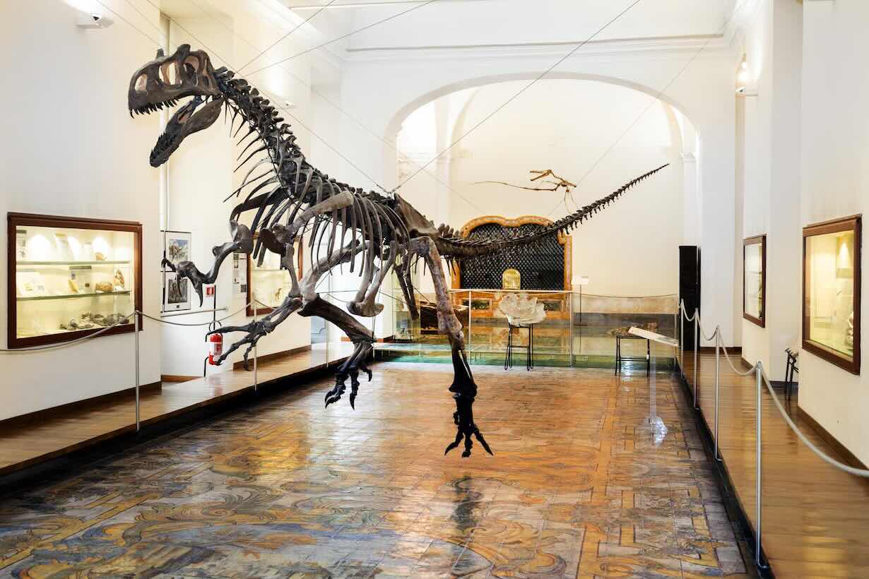 Rinasce il Centro Musei di Scienze Naturali a Napoli: investimenti del PNRR per un futuro sostenibile