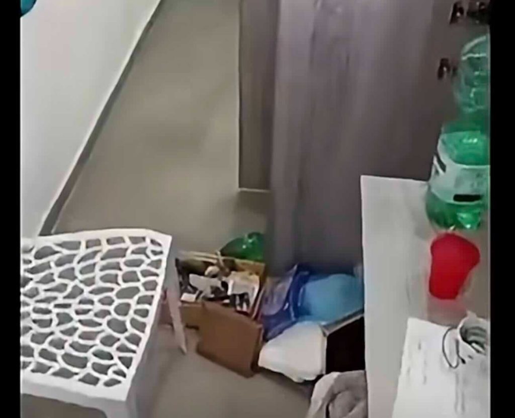 Furto shock a Quarto: colpito il centro per bambini autistici “Coccinella APS”