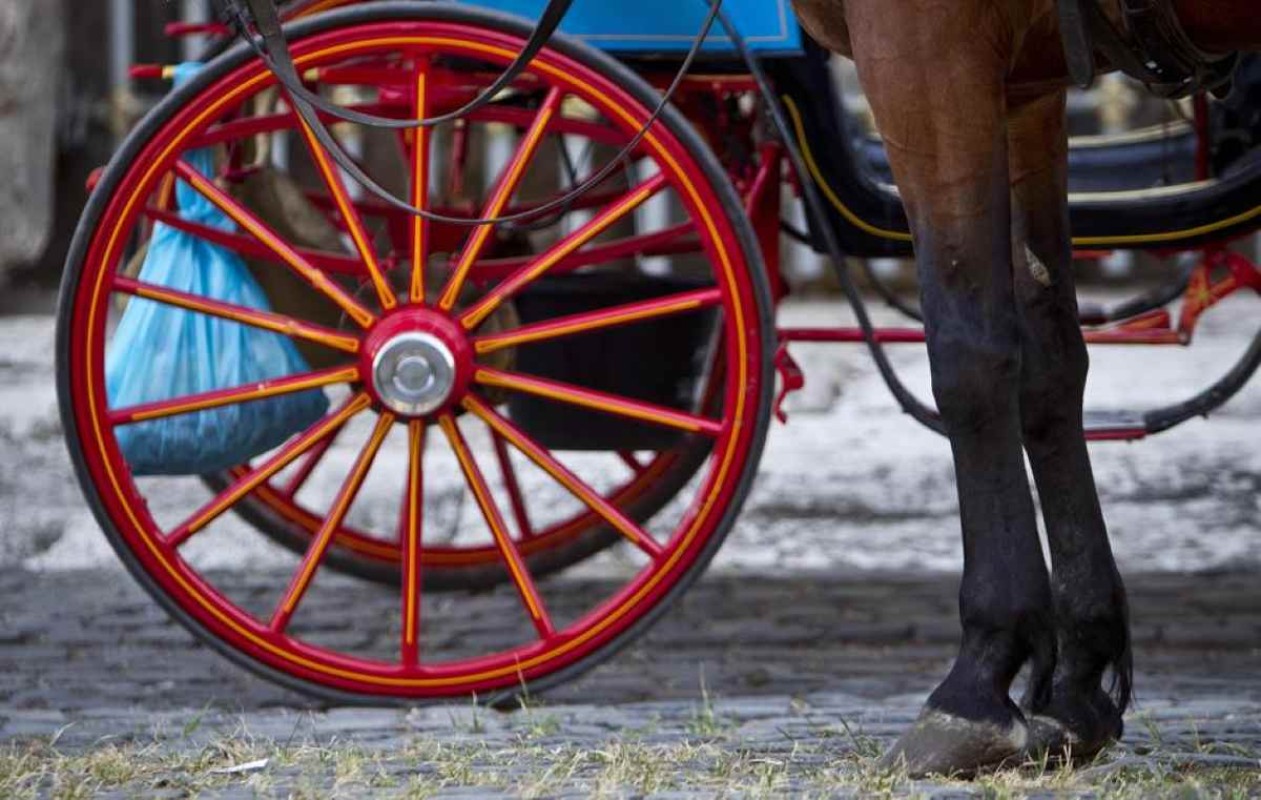 Sorrento, fermati gli amanti delle carrozzelle: stop alle corse sotto il sole cocente