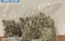 Barra, fermato 19enne con 300 grammi di marijuana: scatta l’intervento delle forze dell’ordine