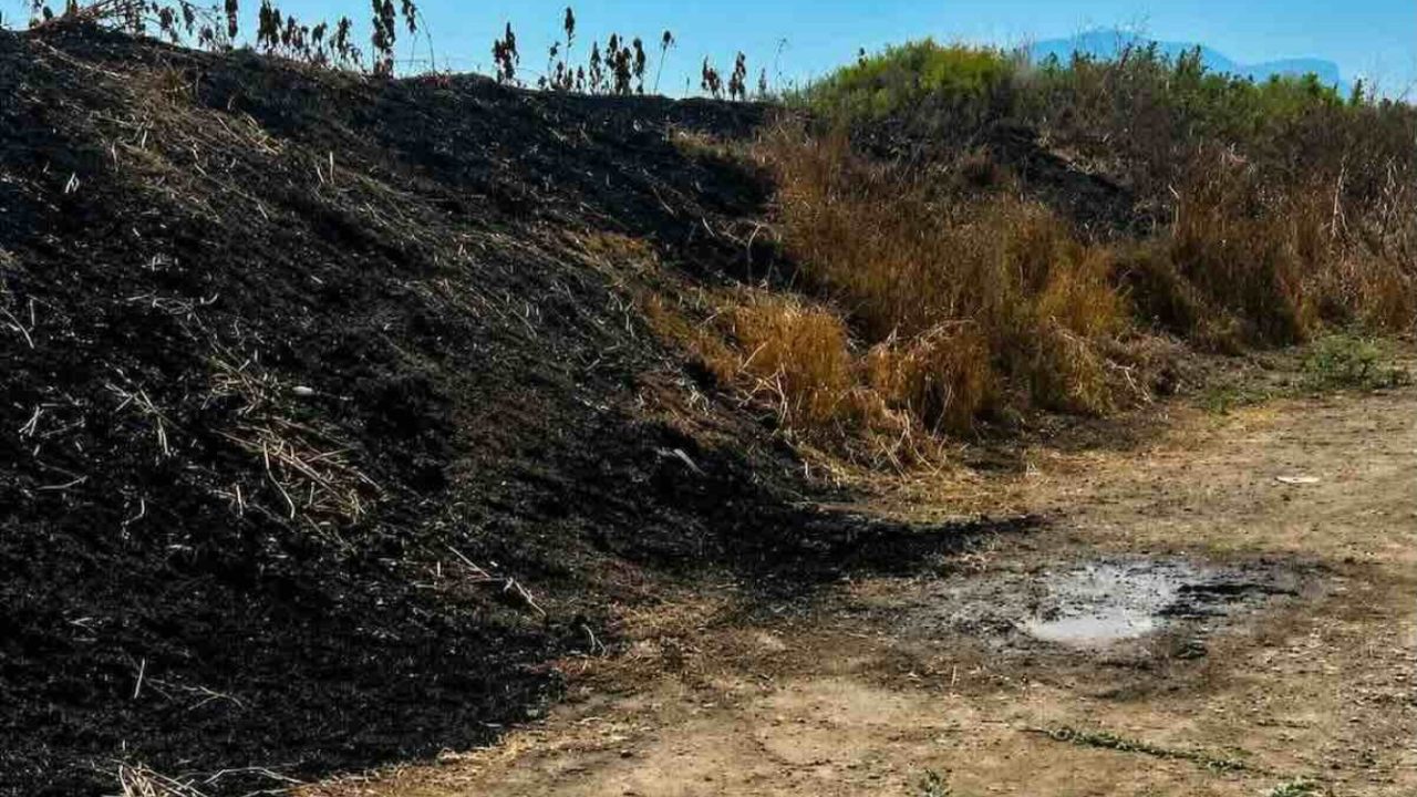 Giallo a Eboli: ritrovato un corpo carbonizzato in un terreno abbandonato