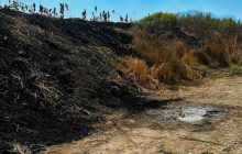Giallo a Eboli: ritrovato un corpo carbonizzato in un terreno abbandonato