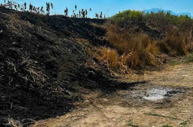 Giallo a Eboli: ritrovato un corpo carbonizzato in un terreno abbandonato