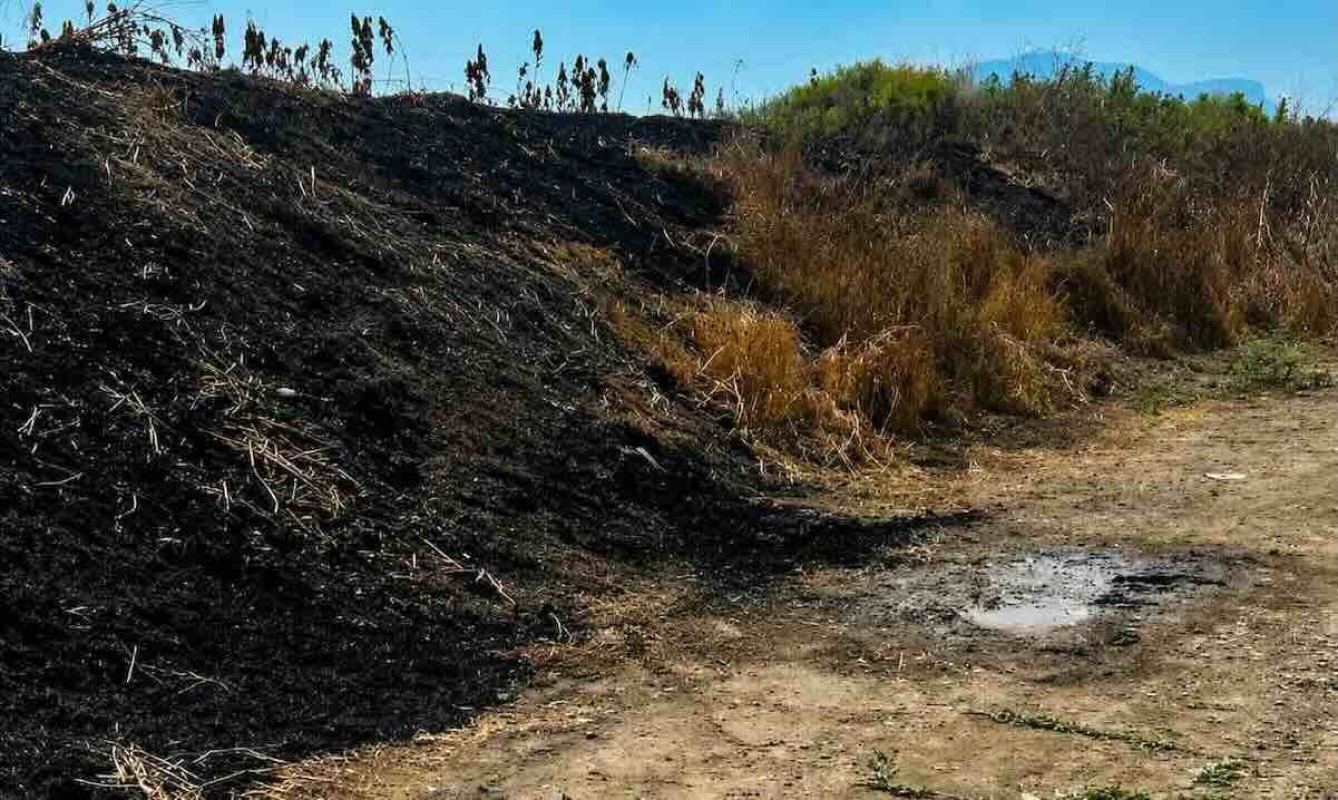 Giallo a Eboli: ritrovato un corpo carbonizzato in un terreno abbandonato