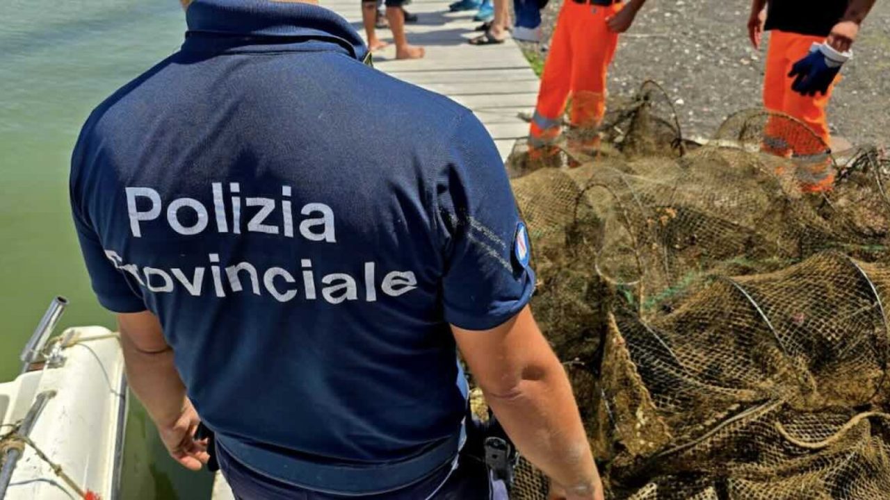 Litorale Domizio, operazione straordinaria: sequestro di 200 nasse abusive e fauna marina salvata