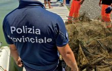Litorale Domizio, operazione straordinaria: sequestro di 200 nasse abusive e fauna marina salvata