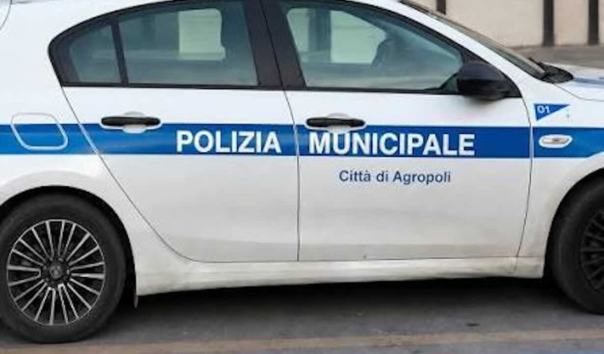 Agropoli, movida in fermento: sanzioni per 16 locali tra rumori e abusivismo