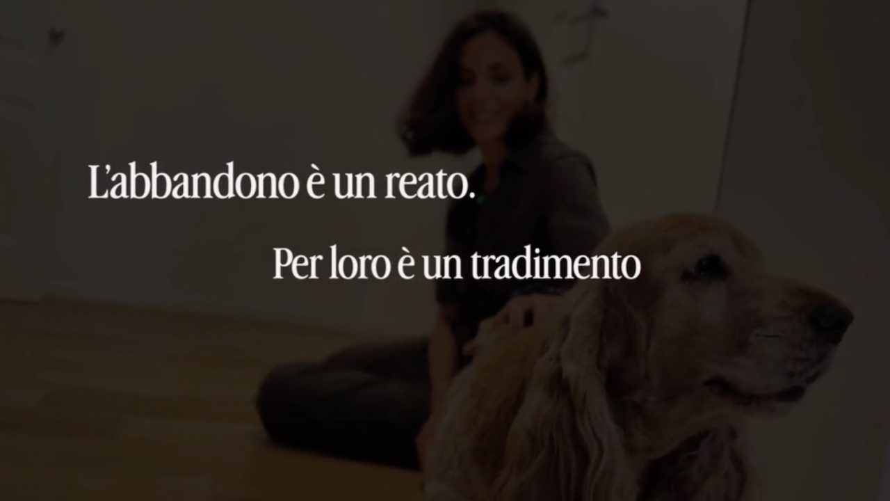 Estate in arrivo: la Polizia di Stato lancia una campagna per salvare gli animali abbandonati