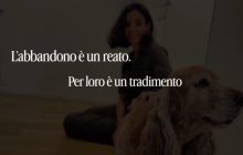 Estate in arrivo: la Polizia di Stato lancia una campagna per salvare gli animali abbandonati