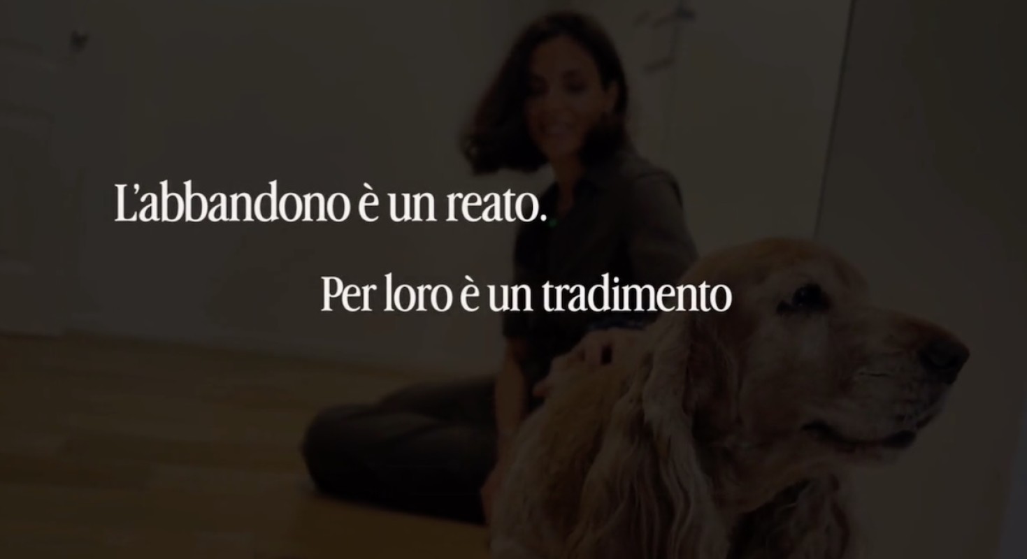Estate in arrivo: la Polizia di Stato lancia una campagna per salvare gli animali abbandonati