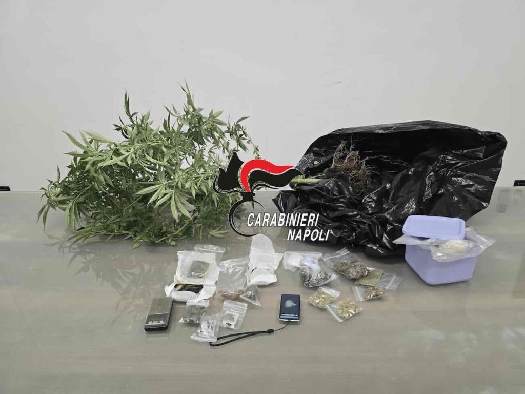 Santa Maria La Carità, sorprendente arresto: pusher “col pollice verde” spacciava direttamente ai clienti