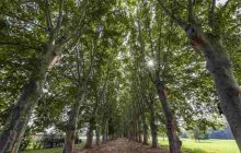 Scafati, è finalmente tempo di festa: riapre il Parco del Real Polverificio Borbonico il 28 luglio!