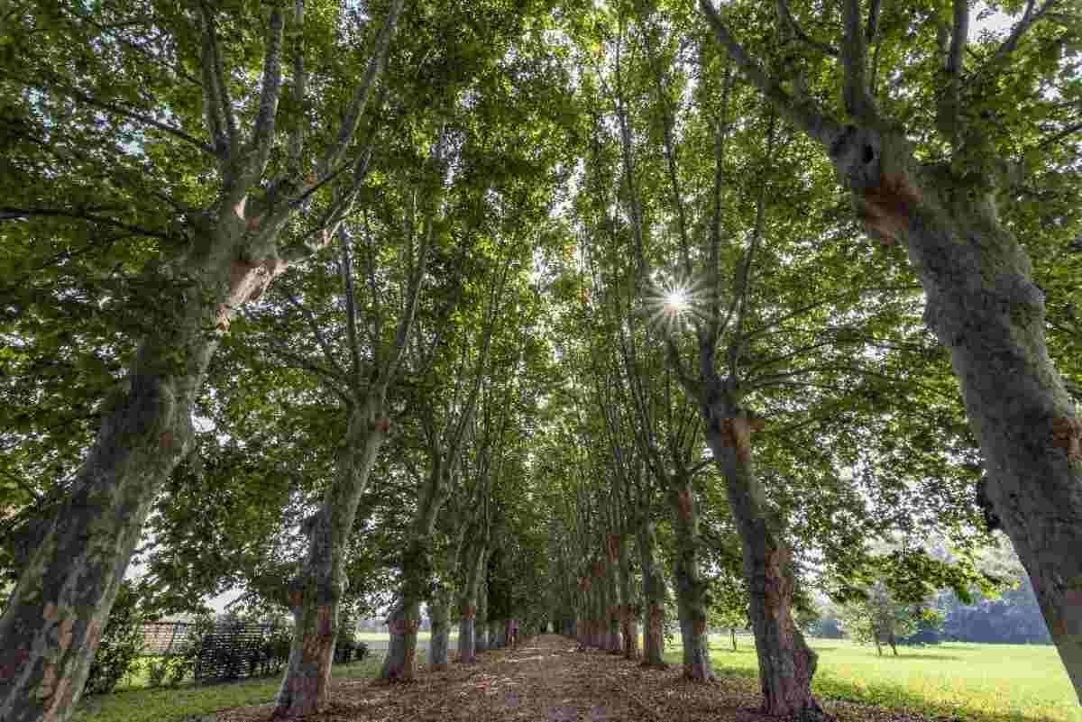 Scafati, è finalmente tempo di festa: riapre il Parco del Real Polverificio Borbonico il 28 luglio!