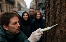 Sperimentazione ecologica a Napoli: un’iniziativa innovativa o un palliativo per i veri problemi della città?