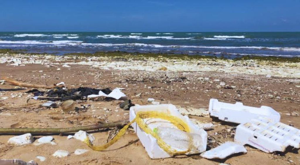 Torre del Greco e Portici dicono addio al polistirolo: la pesca si fa green!
