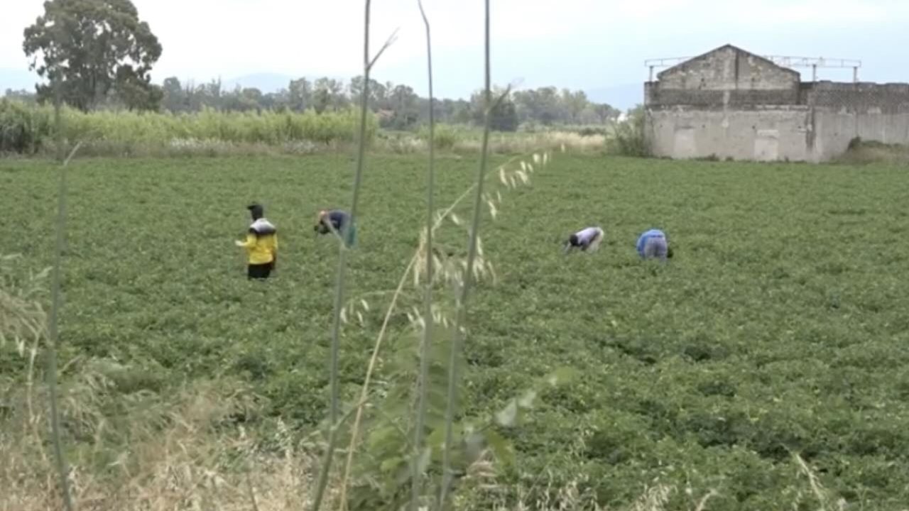 Furti di speranze: fino a 7.000 euro per accedere a un sogno italiano
