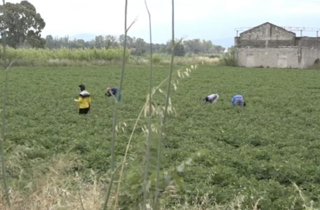Furti di speranze: fino a 7.000 euro per accedere a un sogno italiano