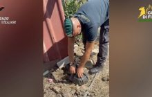Truffa Decreti Flussi a Napoli: 22 misure cautelari per contratti fantasma