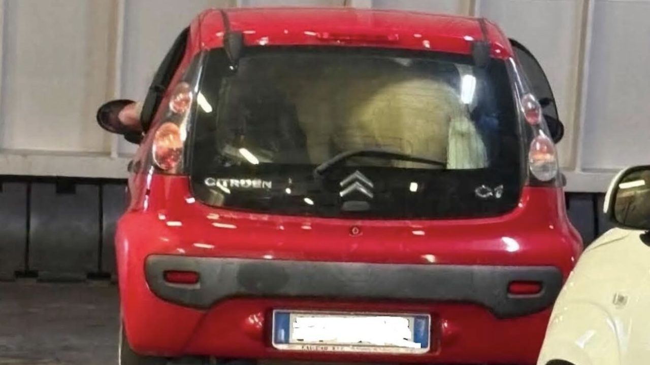 Ponny dimenticato in auto sul traghetto per Ischia: indignazione tra i passeggeri