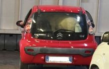 Ponny dimenticato in auto sul traghetto per Ischia: indignazione tra i passeggeri