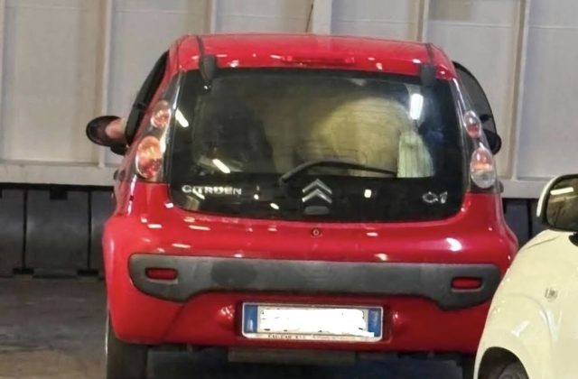 Ponny dimenticato in auto sul traghetto per Ischia: indignazione tra i passeggeri