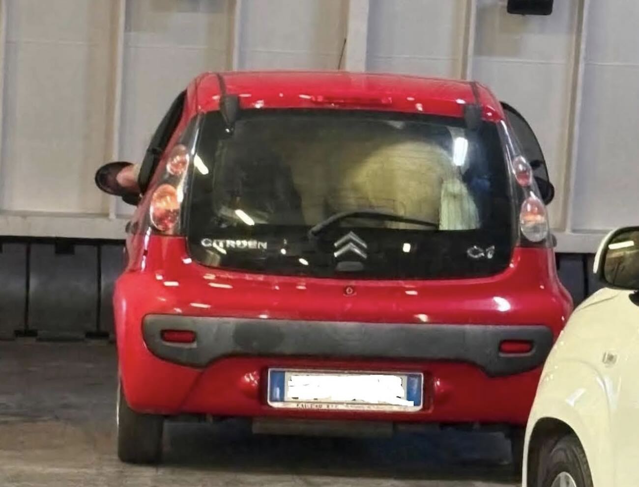 Ponny dimenticato in auto sul traghetto per Ischia: indignazione tra i passeggeri