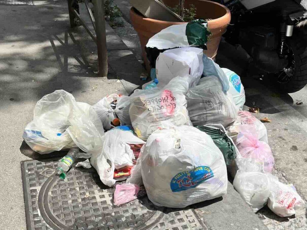 Emergenza blatte a Vomero e Arenella: cittadini in allerta per la salute pubblica