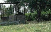 Cane abbandonato al sole in gabbia a Nola: scatta l’allerta per maltrattamento animale