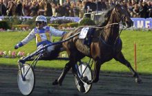 Il mondo dell’ippica in lutto: scompare Varenne, simbolo di gloria e leggenda del trotto a soli 31 annix