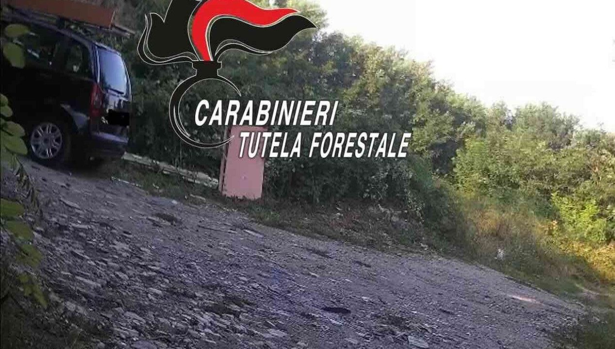 Illegale scarico di scarti edili ad Aversa: denunciato l’imprenditore e ritirata la patente nel blitz dei Carabinieri