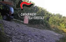 Illegale scarico di scarti edili ad Aversa: denunciato l’imprenditore e ritirata la patente nel blitz dei Carabinieri