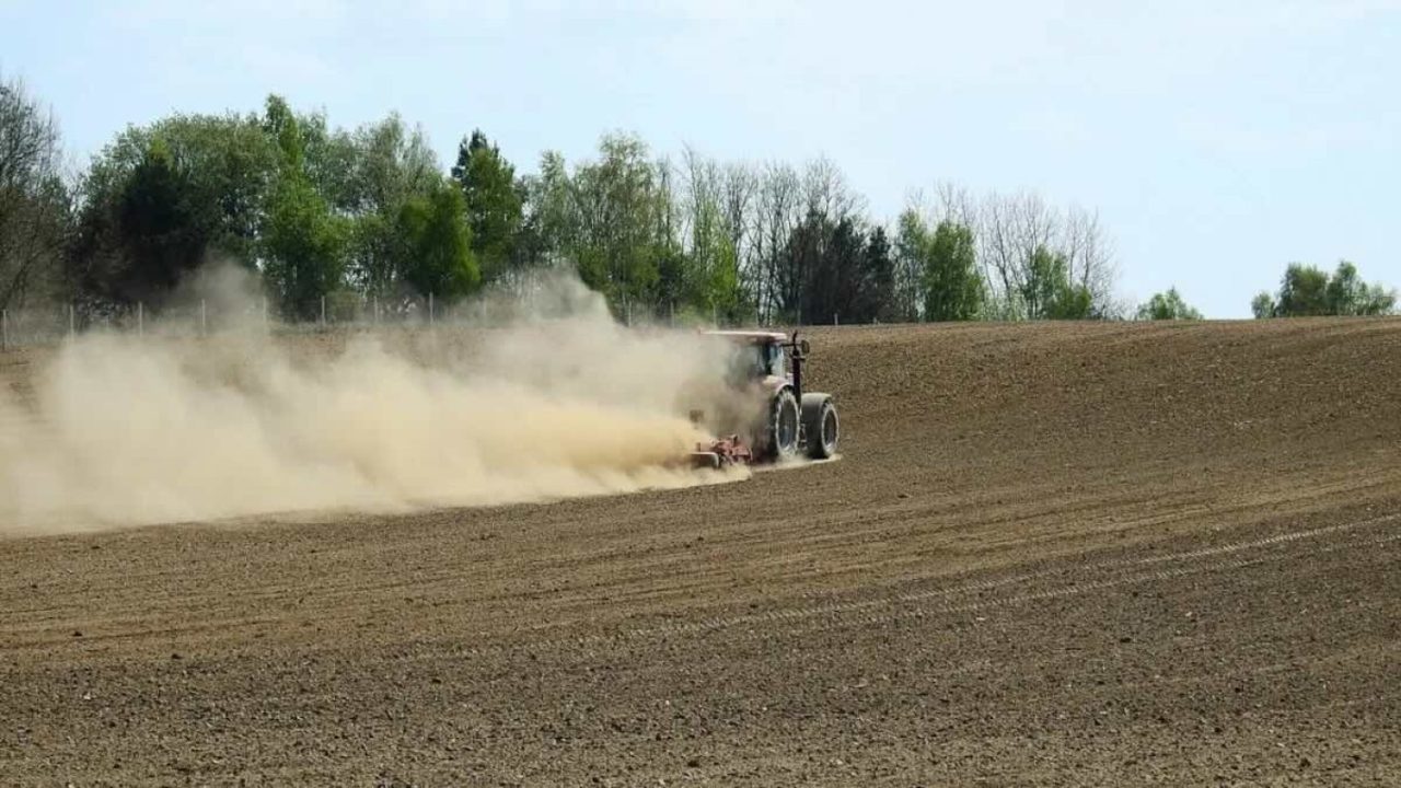 Campania: attivata l’indennità per i danni da siccità, ecco come fare per ottenere i fondi per le aziende agricole