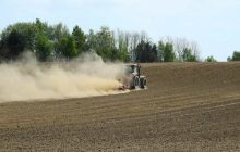 Campania: attivata l’indennità per i danni da siccità, ecco come fare per ottenere i fondi per le aziende agricole