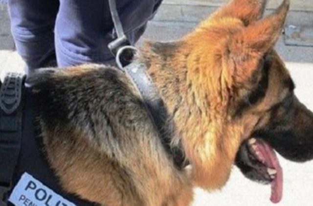 Poggioreale, blitz al carcere: scoperti quasi due chili di droga e telefoni clandestini
