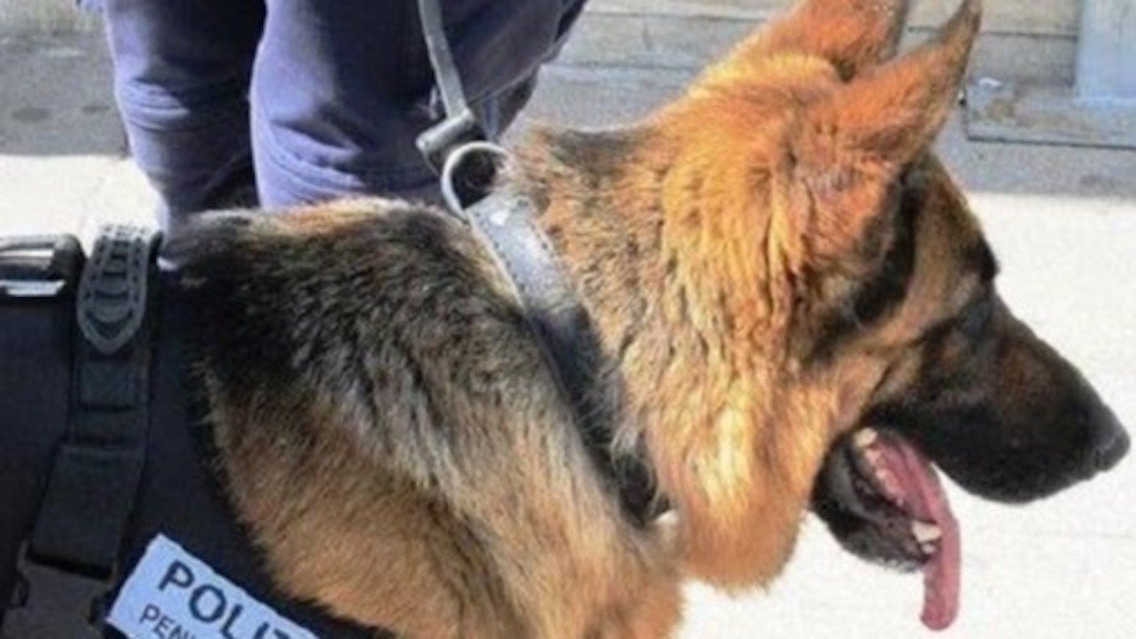 Poggioreale, blitz al carcere: scoperti quasi due chili di droga e telefoni clandestini