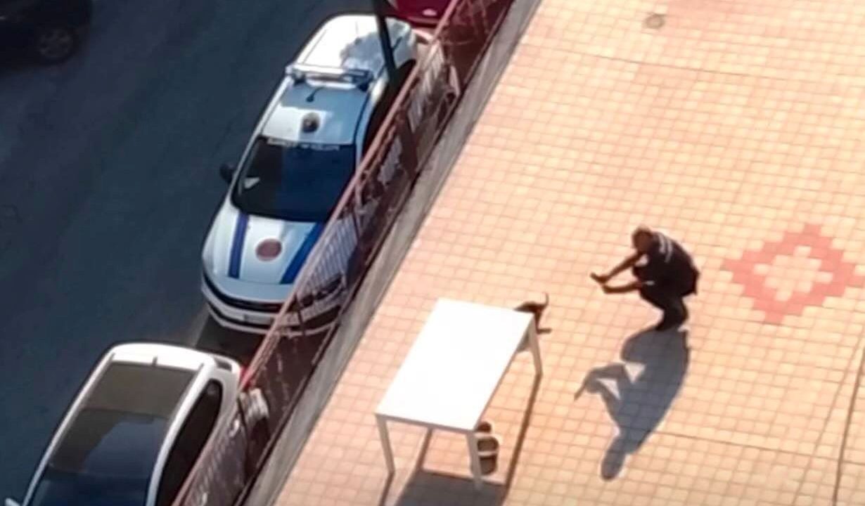 Casoria, tragedia sul terrazzo: cane abbandonato muore sotto il sole cocente