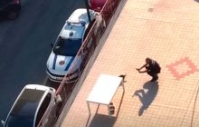 Casoria, tragedia sul terrazzo: cane abbandonato muore sotto il sole cocente